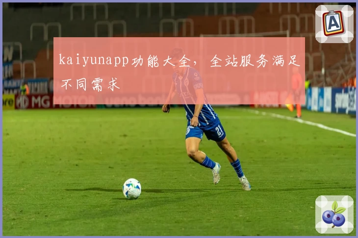 kaiyunapp功能大全，全站服务满足不同需求
