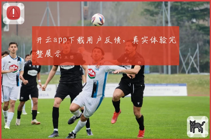 开云app下载用户反馈，真实体验完整展示