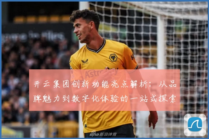 开云集团创新功能亮点解析:从品牌魅力到数字化体验的一站式探索