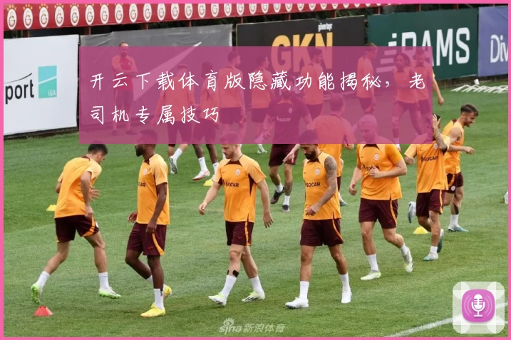 开云下载体育版隐藏功能揭秘，老司机专属技巧