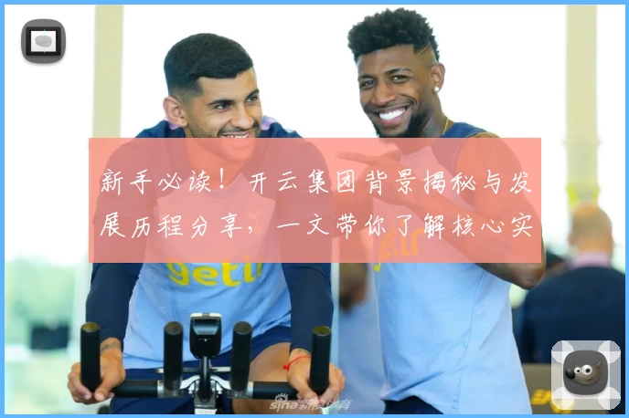 新手必读！开云集团背景揭秘与发展历程分享，一文带你了解核心实力