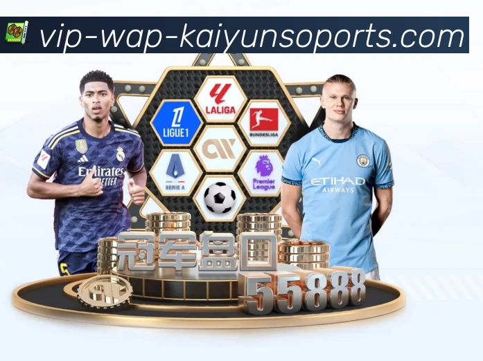 开云平台生态图