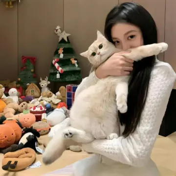 贺强先生
